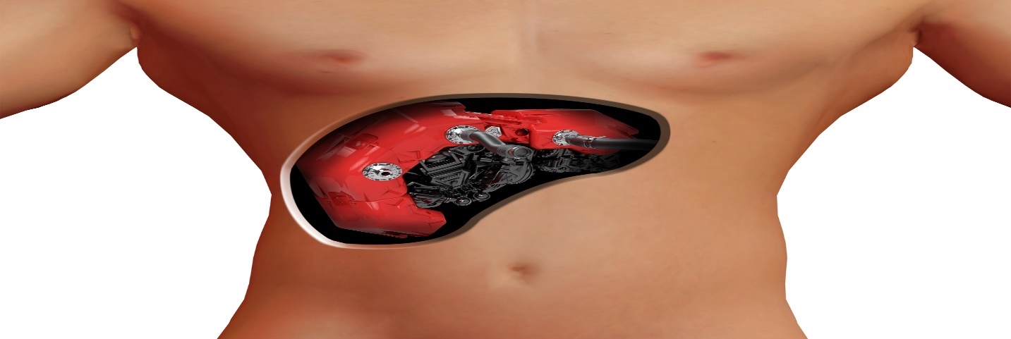 A picture containing clothing, person, underpants, underwear  Description automatically generated