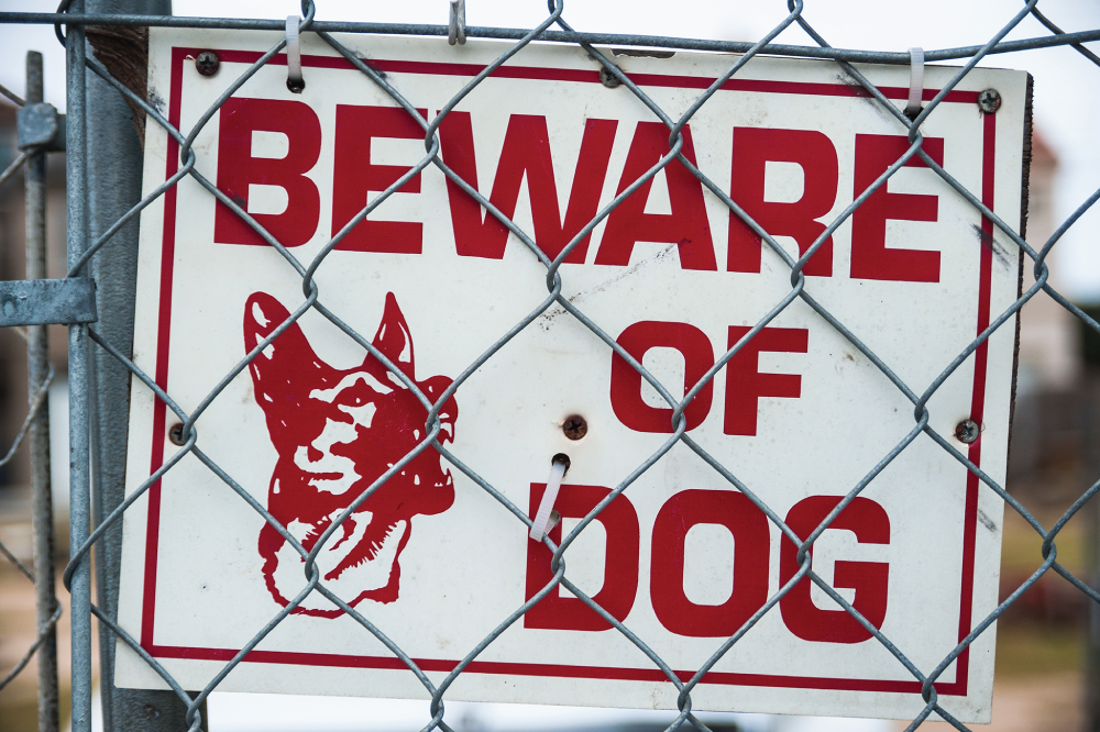 Photo depicts the fence surrounding board with the caption Beware of Dog.