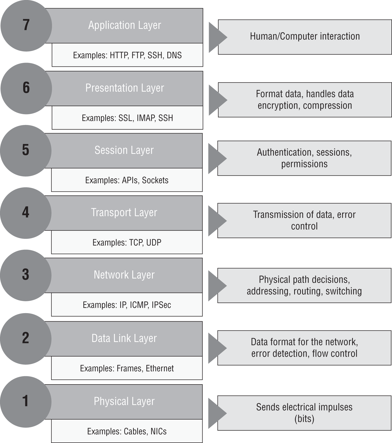 Schematic illustration of the OSI model which is made up of seven layers, typically divided into two groups: the host layers and the media layers.