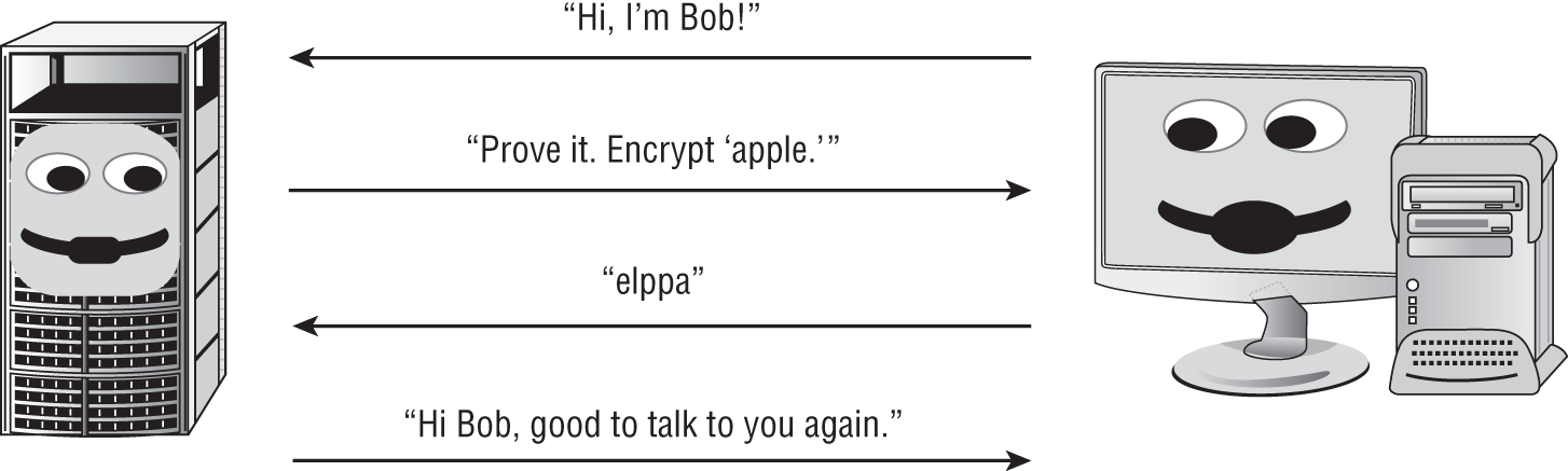 Schematic illustration of the challenge-response authentication protocol.