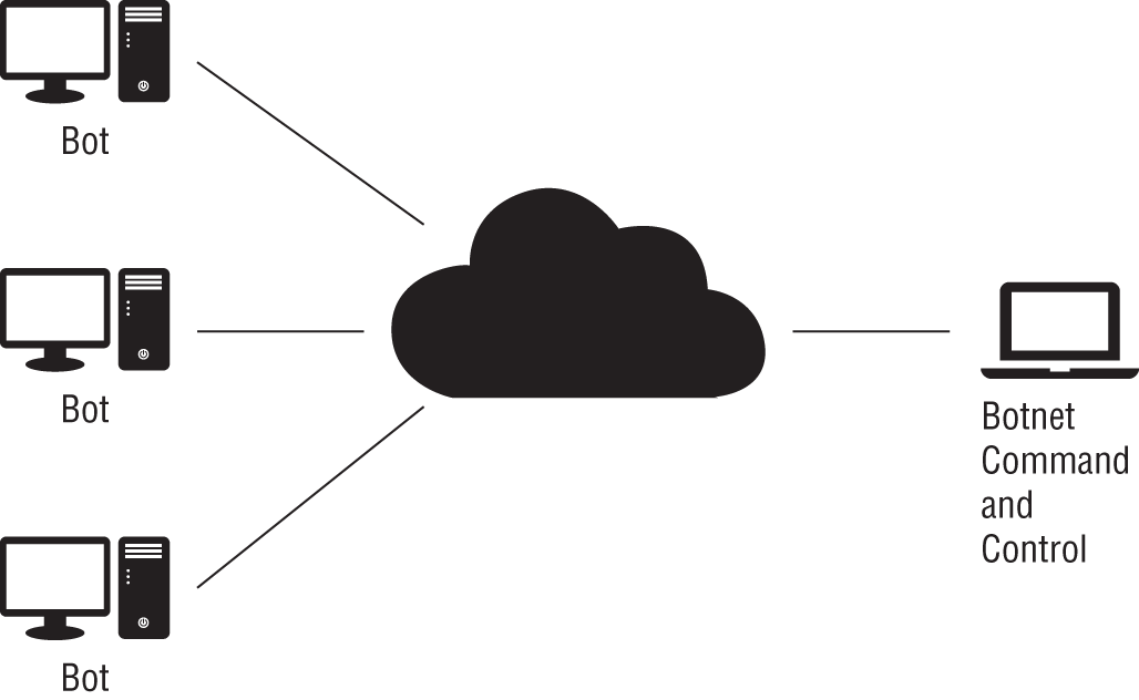 Schematic illustration of the client-server botnet control model.