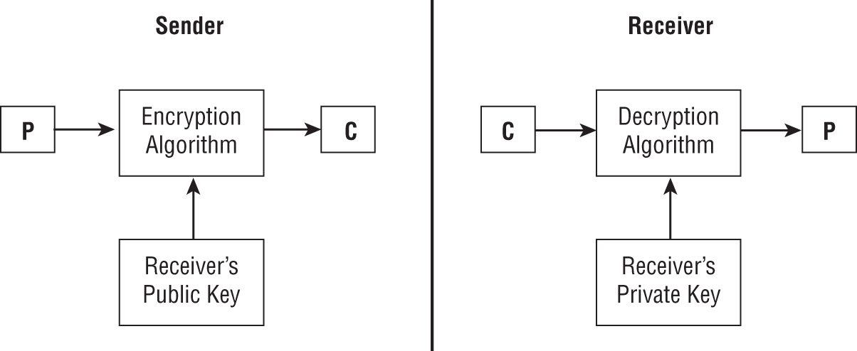 Schematic illustration of an asymmetric key cryptography.