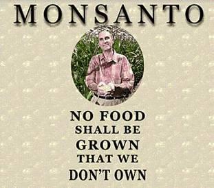 http://www.davidicke.com/images/stories/Feb20116/monsanto1.jpg
