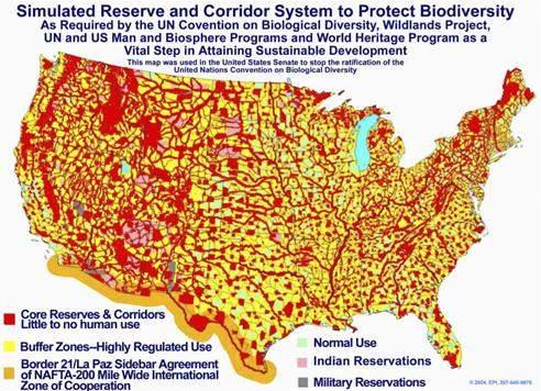 http://www.davidicke.com/oi/extras/2011/June/19_009.jpg