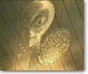 http://conspiracy-gov.com/images/crop-circles/crop-circles3.jpg