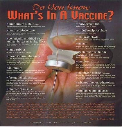 http://www.davidicke.com/images/stories/August20114/010-action-4ofpart2vaccinead.jpg