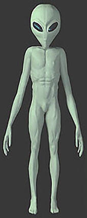 Full size grey alien dude